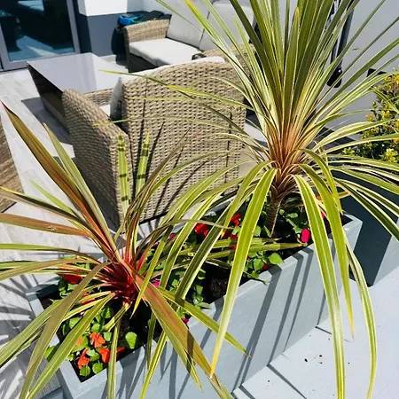 Bella Casa Couette-café 4*