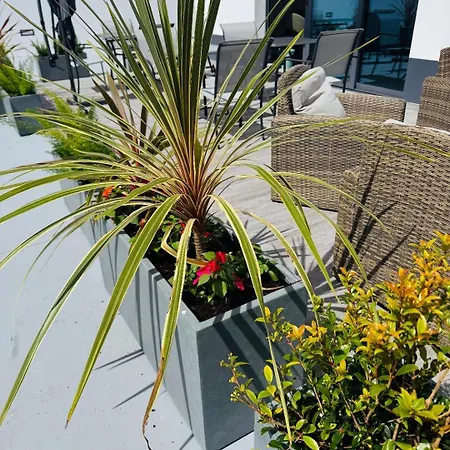 Bed & Breakfast Bella Casa Ponta Delgada